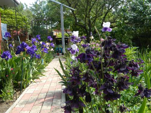 Фотографии гостевого дома
У моря