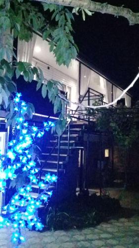 Фотографии гостевого дома
Юг-дом