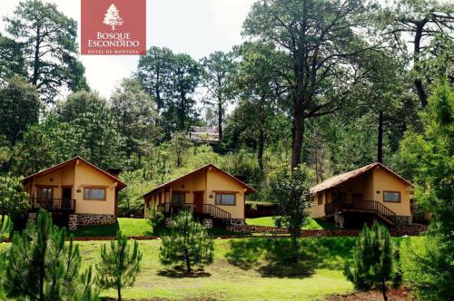 Фотографии гостиницы
Bosque Escondido