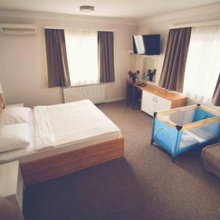 Фотография гостиницы Hotel Phoenix