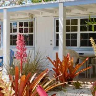 Фотографии гостиницы
Pines & Palms Resort