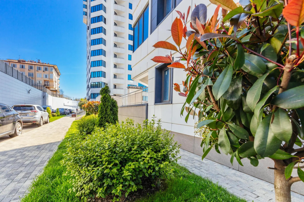 Фотография квартиры Bulgasari (Булгасари) на улице Ленина 298Б корпус 7