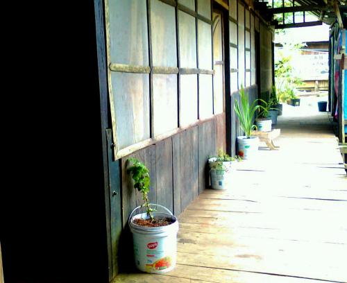 Фотография мини отеля Hospedaje Reina Arriera