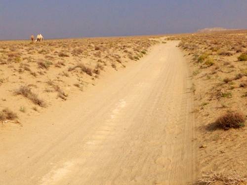 Фотография базы отдыха Альмагуль Юрт