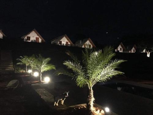 Фотография мини отеля Pousada Villarejo