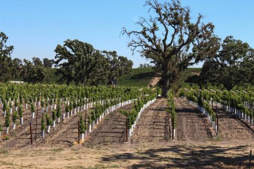 Фотография гостевого дома Seaside Strolls