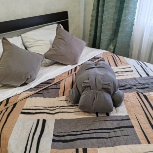 Фотография квартиры Апартаменты На Троицком