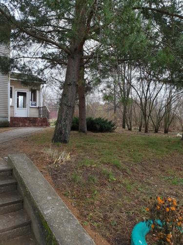 Фотографии гостиницы
Ранчо