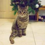 Фотография хостела Beewon Guesthouse