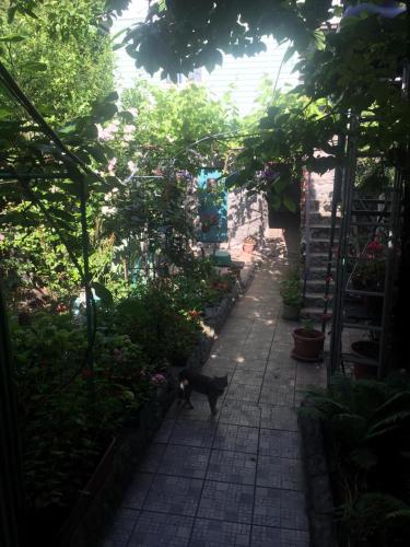 Фотографии гостевого дома
Эконом