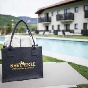 Фотография гостиницы Hotel Landgashof Weingut Seeperle