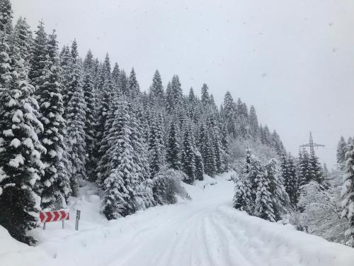 Фотография гостиницы Натали