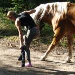 Фотография базы отдыха Hotel Reiterhof-Altmühlsee