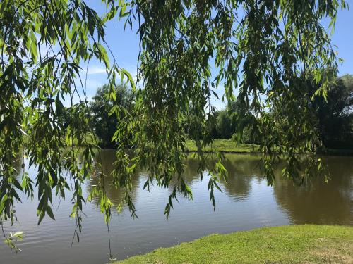 Фотографии базы отдыха
Кувшинка