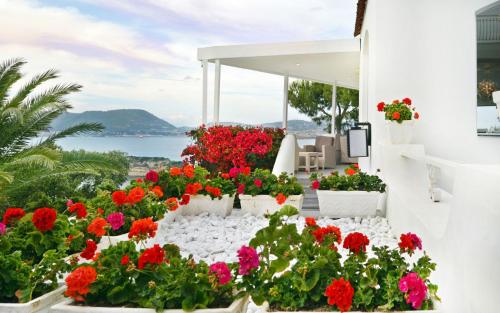 Фотография гостиницы Hotel Cala Moresca