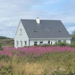 Фотографии гостевого дома 
            Teac Treasa