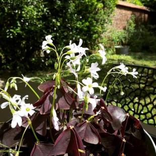 Фотографии мини отеля
La Maison de Ville