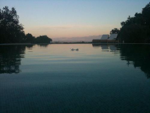 Фотографии гостевого дома 
            Sos Ferres D'en Morey