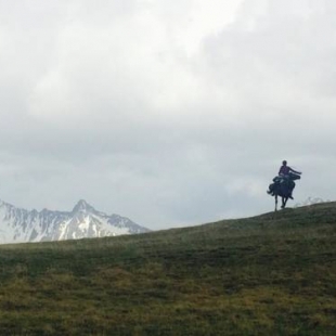 Фотография мини отеля Chanterelle