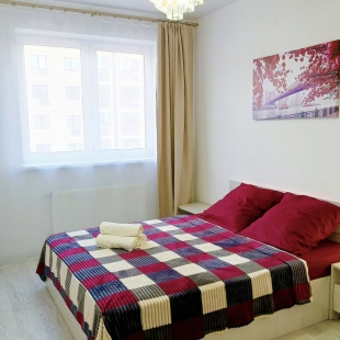 Фотография квартиры Квартира Уютная на Скандинавской 1к11