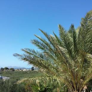 Фотографии мини отеля
Baglio il Giovinetto