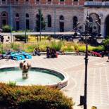 Фотография мини отеля Stazione22 B&B