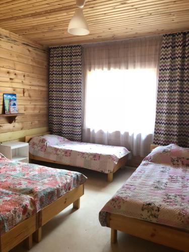 Фотографии мини отеля
Байкальская нерпа