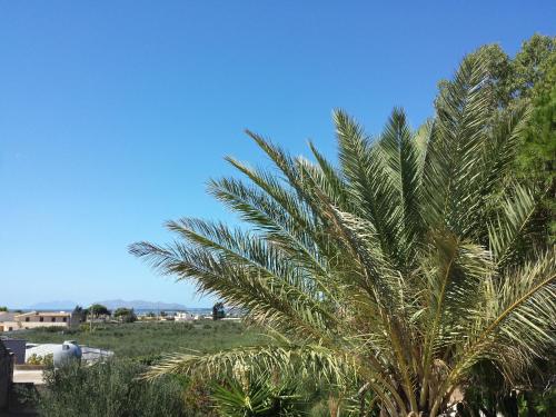 Фотография мини отеля Baglio il Giovinetto