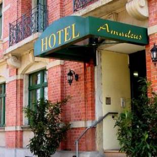 Фотографии гостиницы 
            Hotel Amadeus