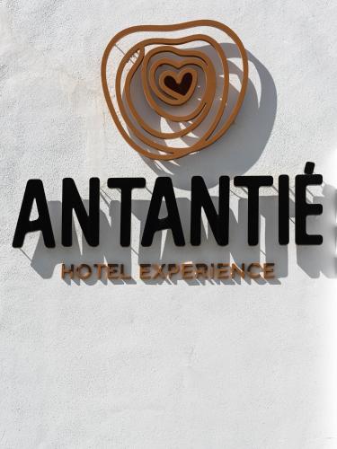 Фотография гостиницы Hotel Antantie