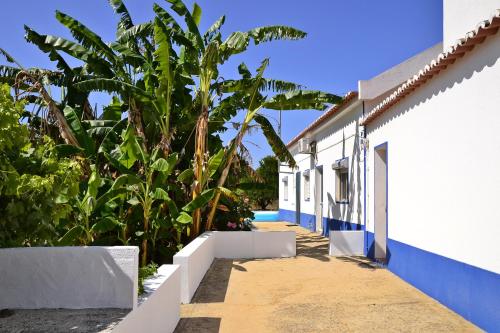 Фотография гостевого дома Monte da Vinha Nova