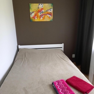 Фотография квартиры Апартаменты Студия 7