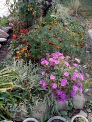 Фотография гостевого дома Guest House Richi