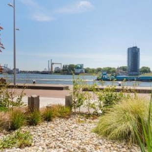 Фотография мини отеля B&B Maasview