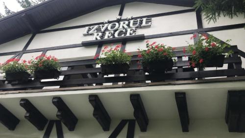 Фотография мотеля Izvorul Rece Sinaia