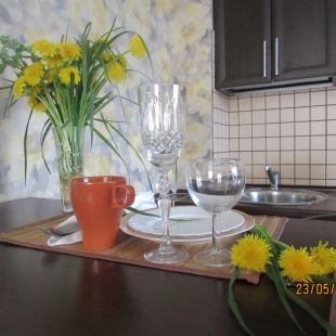 Фотография квартиры Квартира Студия на Северной