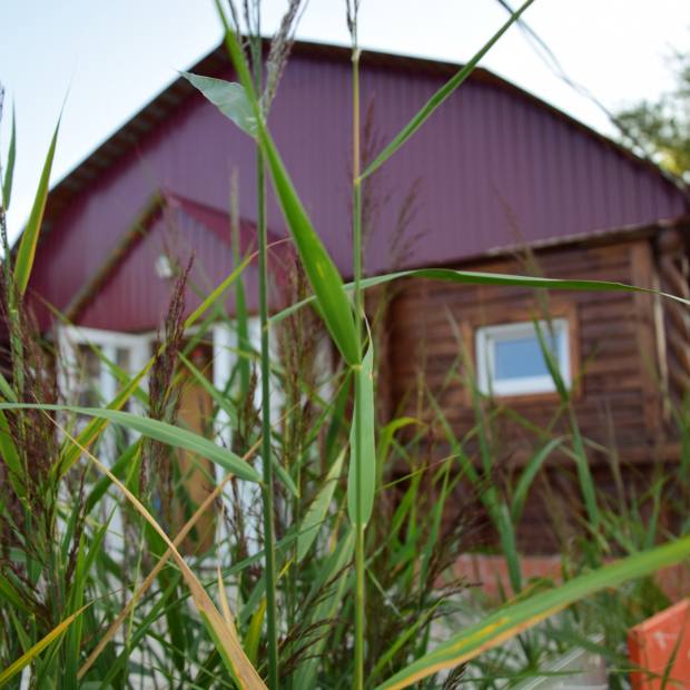 Фотографии гостевого дома
Гостевой ДОМик