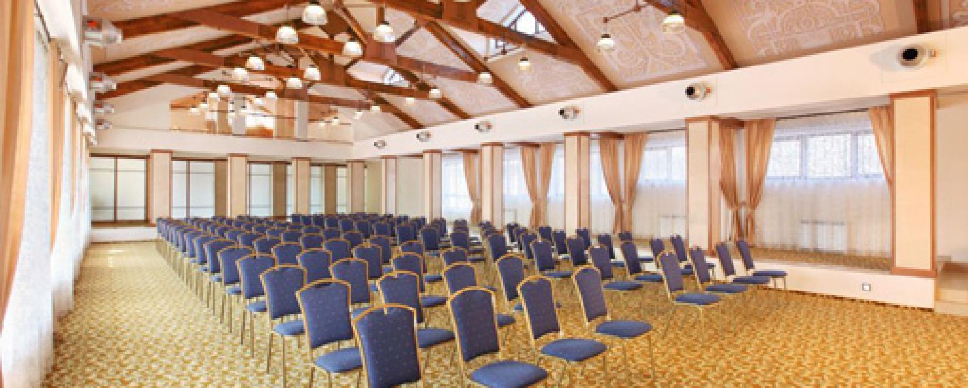 Фотографии конференц-зала Романовский