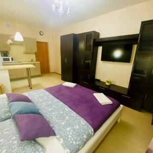 Фотография квартиры Апартаменты Hanaka Юбилейный проспект 78