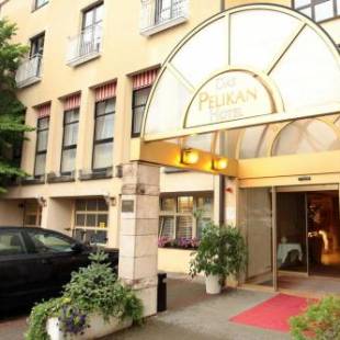 Фотографии гостиницы 
            Hotel Pelikan
