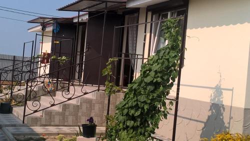 Фотография гостевого дома Петрович