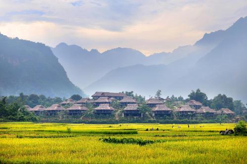 Фотография гостиницы Mai Chau Ecolodge
