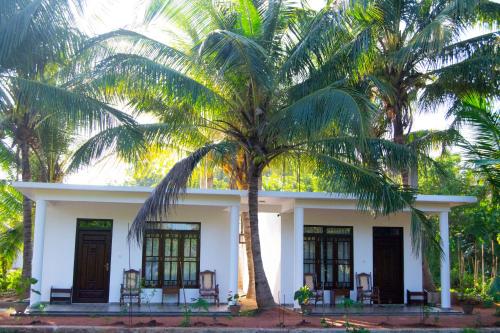 Фотография мини отеля Shady mango villa