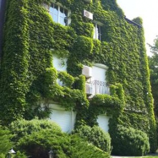 Фотография гостевого дома Редут