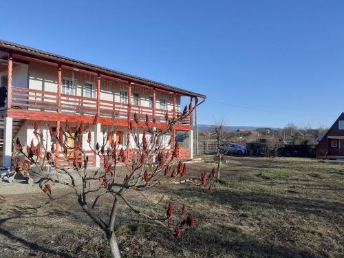 Фотография гостевого дома Casa La Andrei