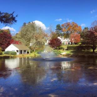Фотографии мини отеля
The Inn at Whitewing Farm