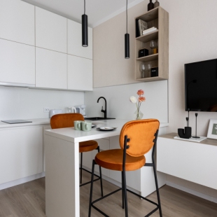 Фотография квартиры Квартира Mini Mi в Янино