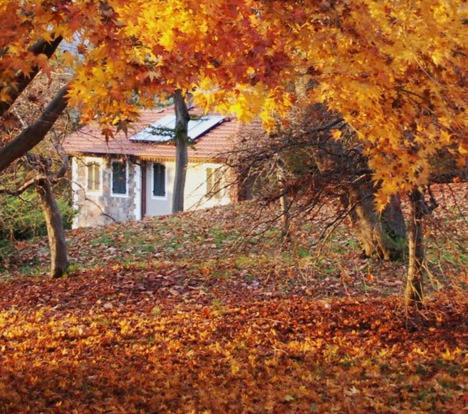 Фотография хостела La Foresteria di Villa Piazzo