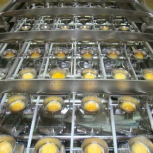 Фотография предприятий Яйцеперерабатывающая фабрика РузОво