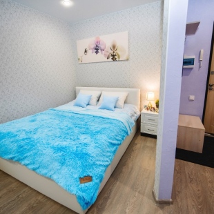 Фотография квартиры Апартаменты Олимпийский 2